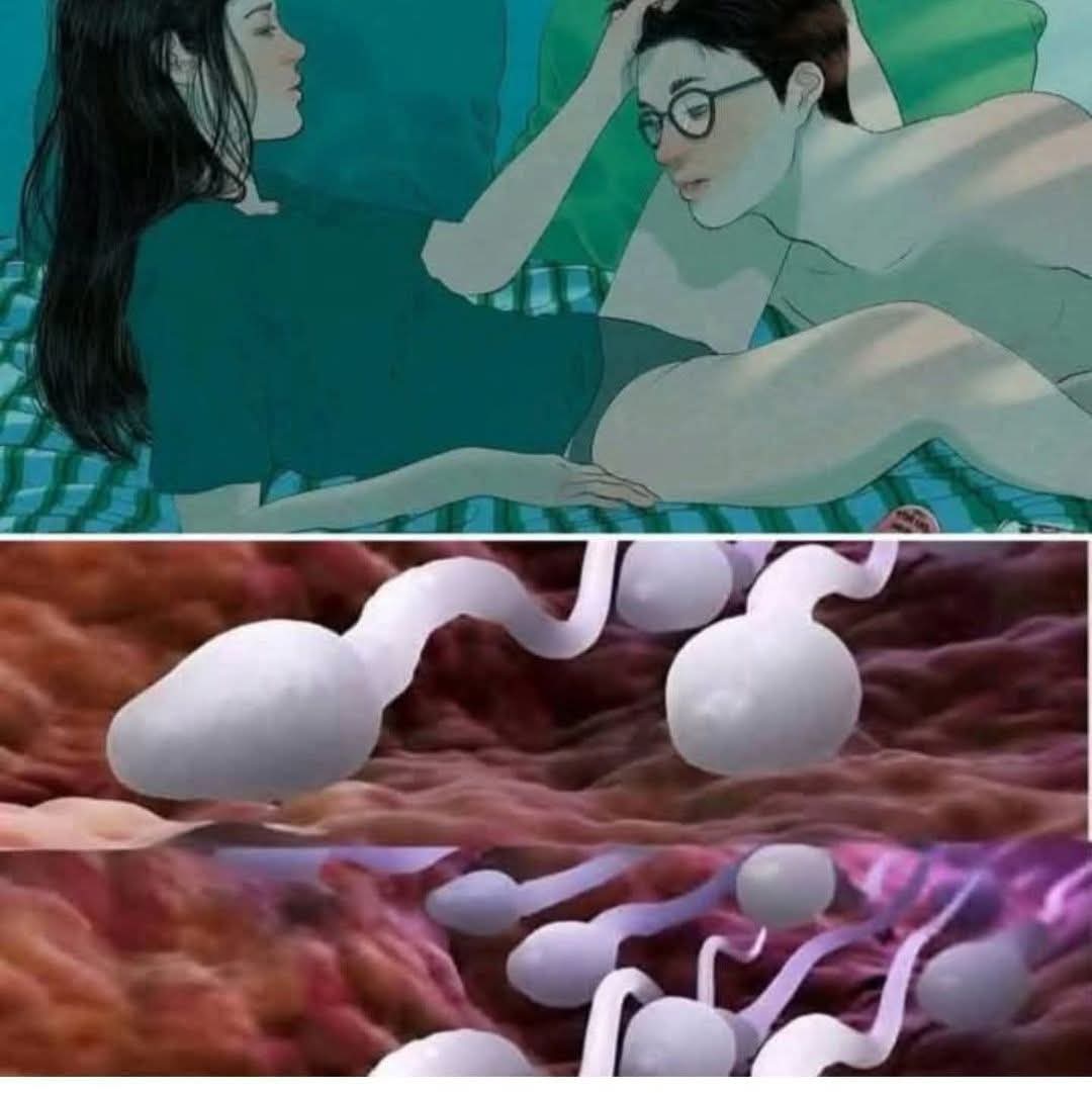 🛑 Studies reveal that swallowing your partner’s semen…🛑 Studies reveal that swallowing your partner’s semen